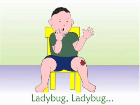 Ladybug Song by Frank Leto