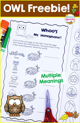 Let's Go Camping! Grab this free Multiple meanings Owl freebie plus lots more ideas for speech and language in summer speech therapy www.speechsproutstherapy.com