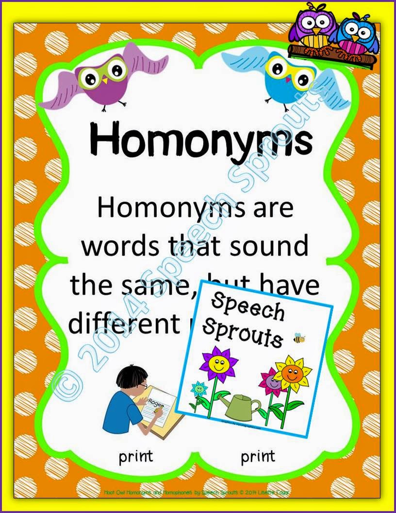 Homonyms poster from Hoot Owl Homonyms by Speech Sprouts
