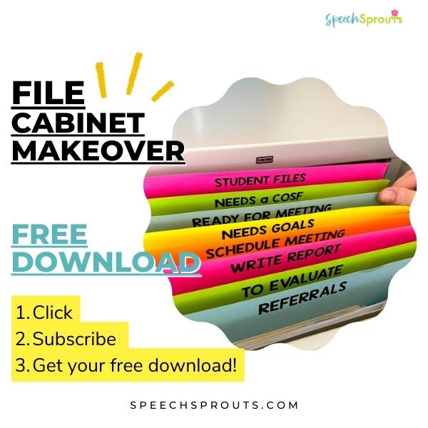 Free file cabinet makeover download. Colorful labeled pages in a file cabinet that create dividers to make it easy to see what needs to be done, from referrals, to evaluations to meetings and student files. 